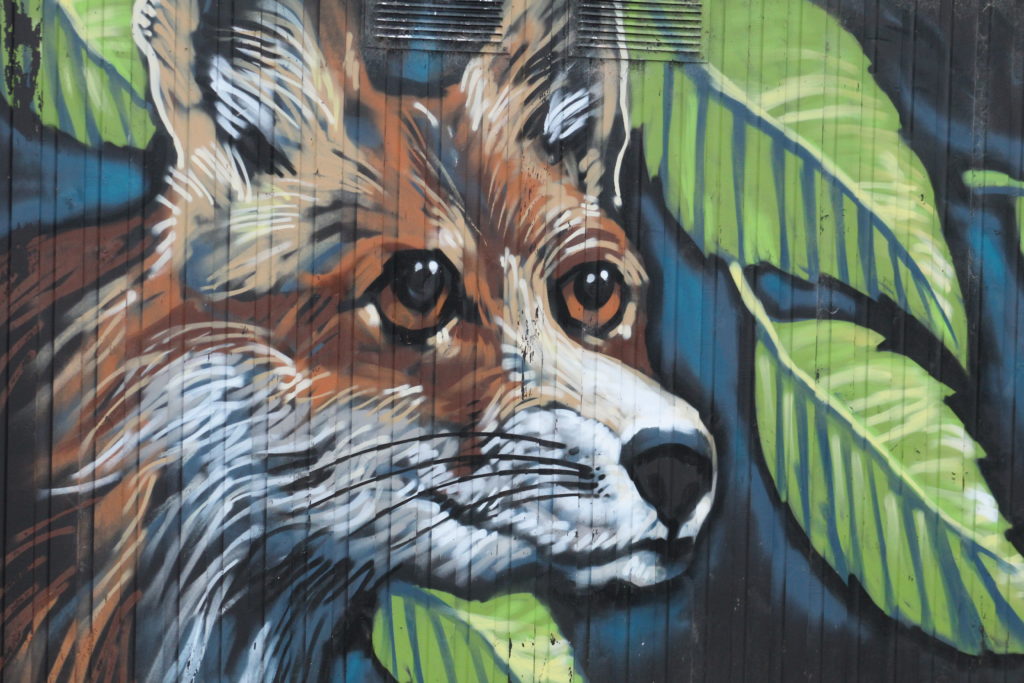 Fox Painting - Blyth Ridley Park