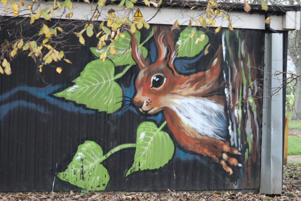 Squirrel Painting - Ridley Park Blyth